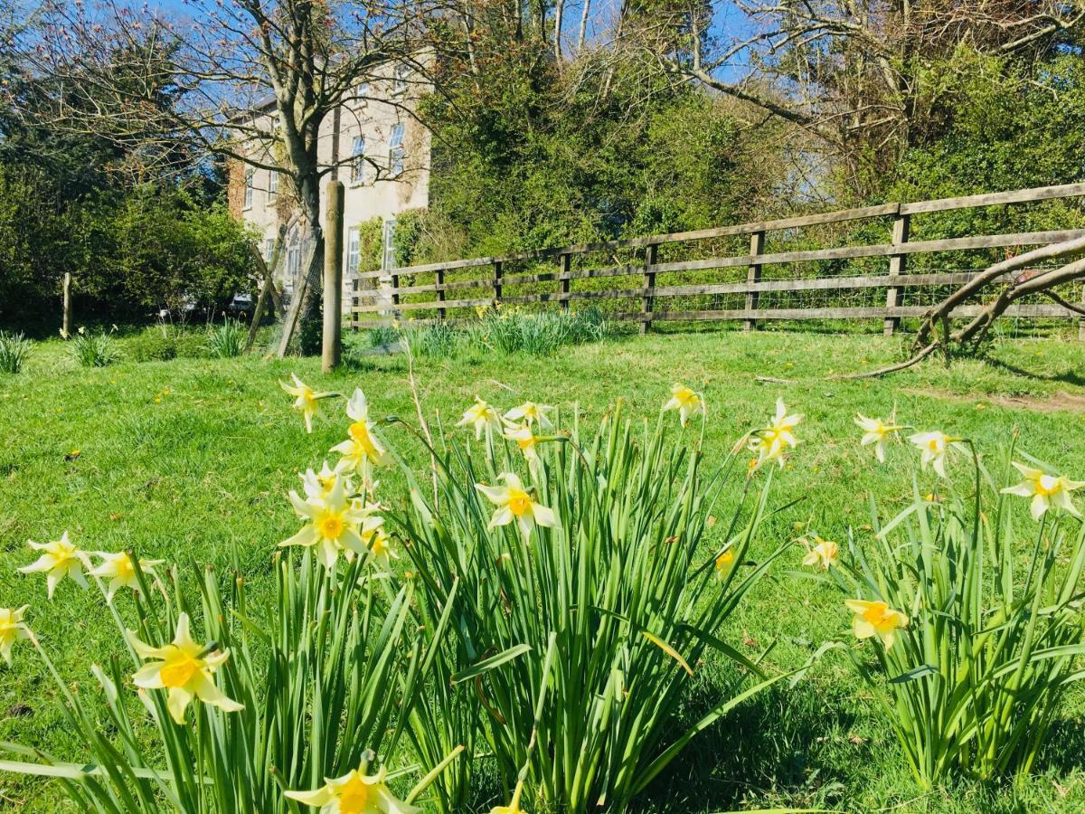 Lissanisky House Bed & Breakfast Ballymackey Bagian luar foto