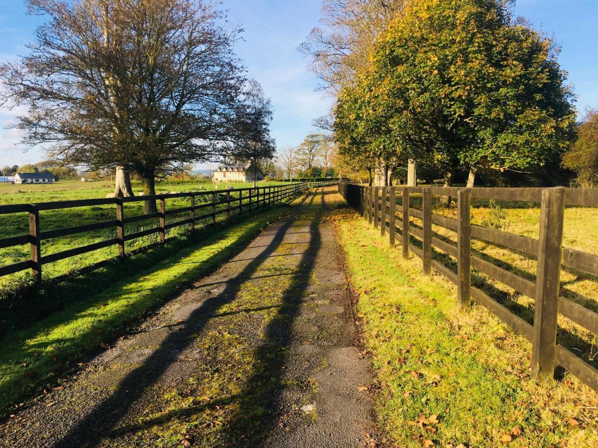 Lissanisky House Bed & Breakfast Ballymackey Bagian luar foto